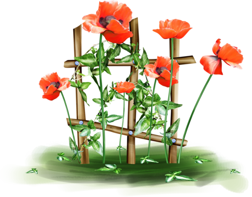 Le Minhaj Salafi est celui qui dit...