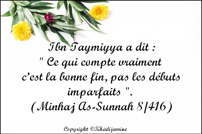 fleurs-brindille-fond-blanc