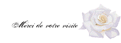 mercidevotrevisitefleurroseblanche_1.gif