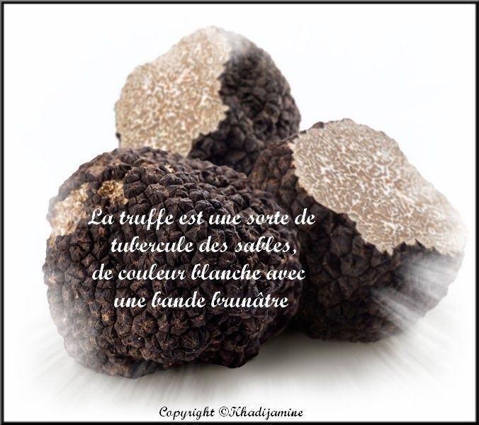 La Truffe