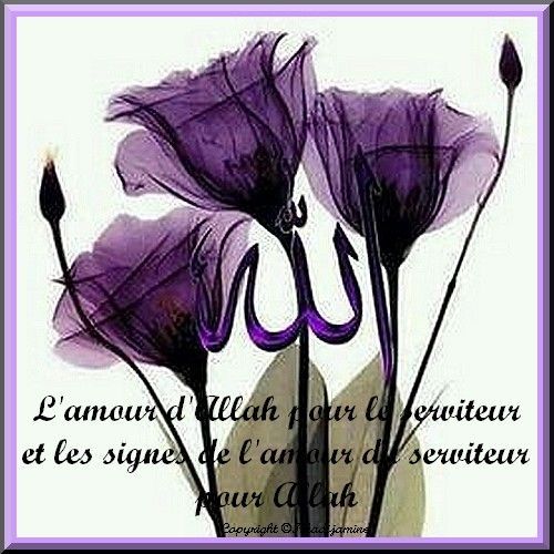 Oiseau Qui Chante La Nuit Islam L'amour d'Allah pour le serviteur 2/2