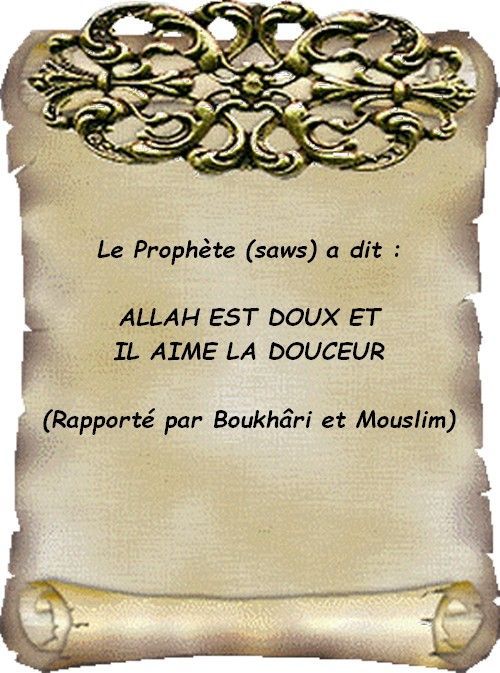 Allah éprouve Ceux Qu'il Aime Allah (swt) est doux et Il aime la douceur