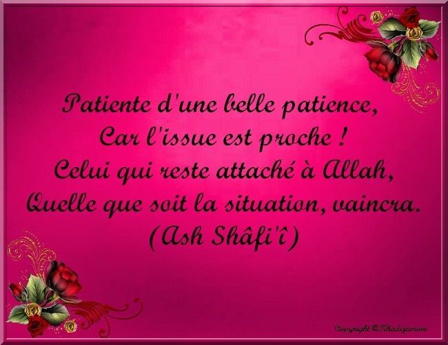 Patiente d'une belle patience