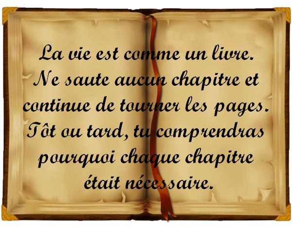 La Vie Est Comme Un Livre