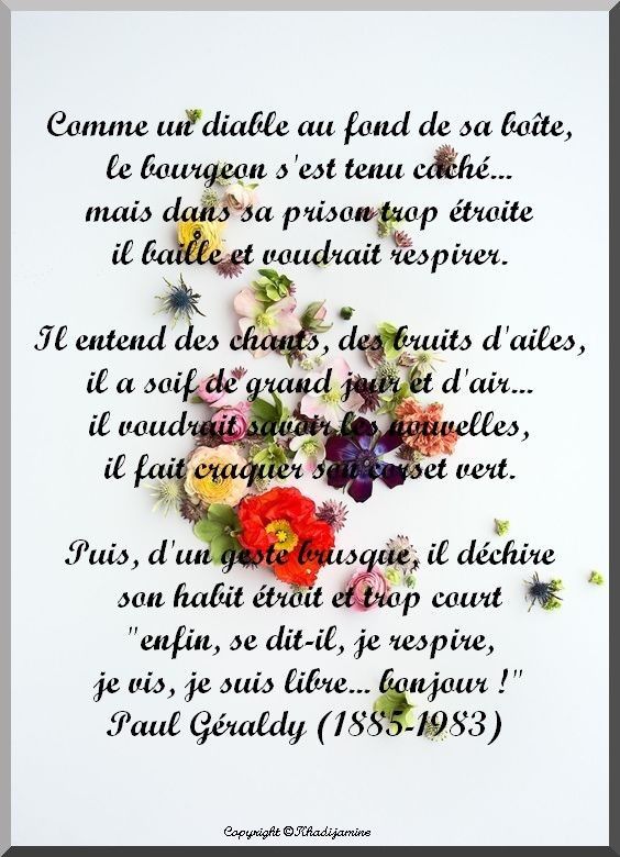 Comme Un Diable Au Fond De Sa Boîte