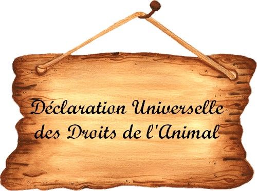 Déclaration Universelle des Droits de l'Animal