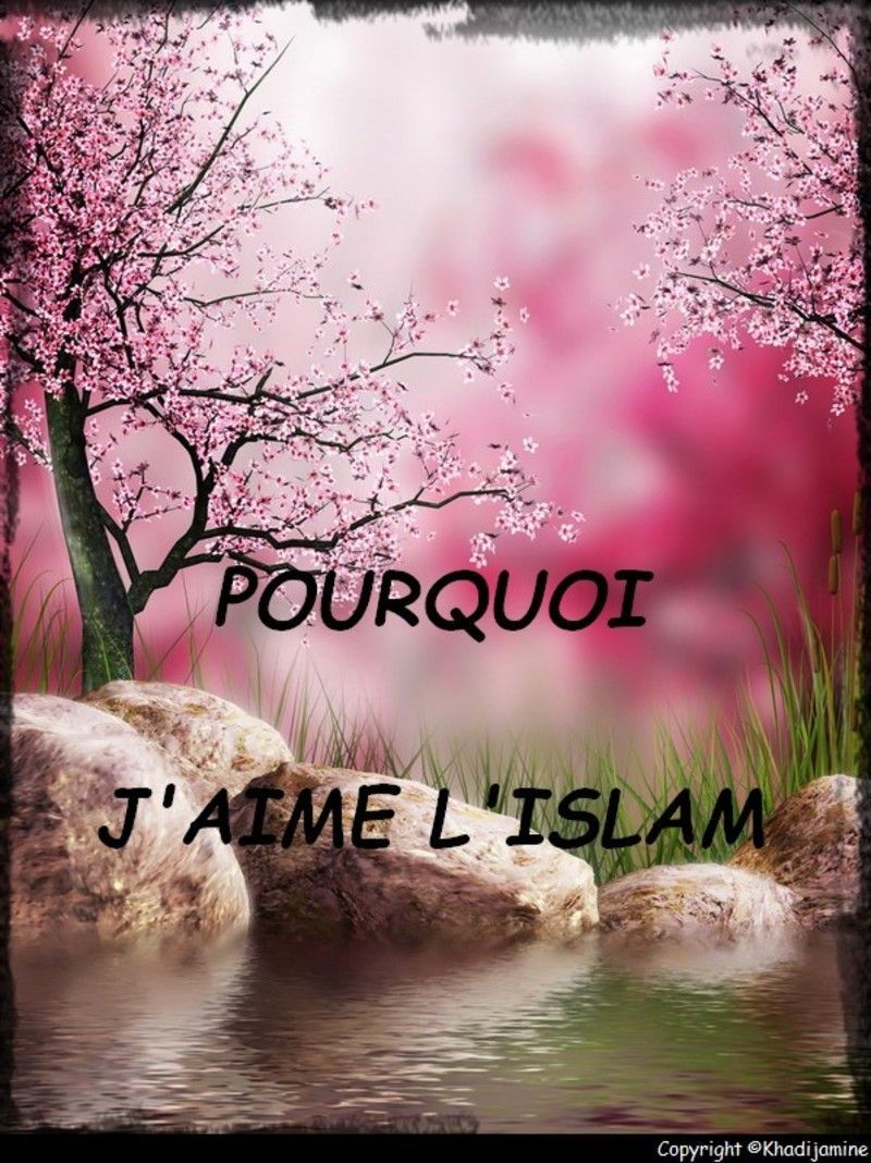 rencontre sur le net en islam